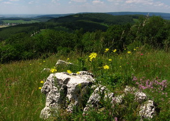Gerecse panoráma