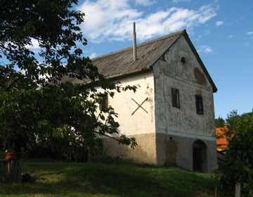 Pince fügefával