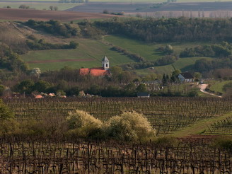 Kesztölci szőlőhegy 
